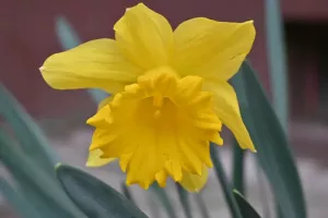 Z50_1227