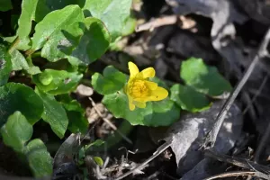 Taksonyi_tanosveny24