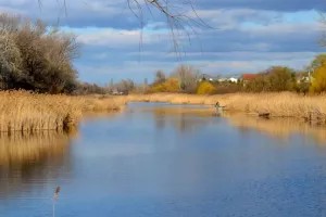 Taksonyi_tanosveny6