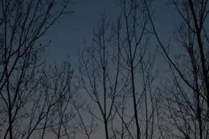 Jupiter_Venusz02
